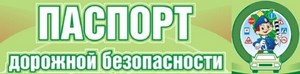 Паспорт дорожной безопасности МАОУ "Боровинская СОШ"